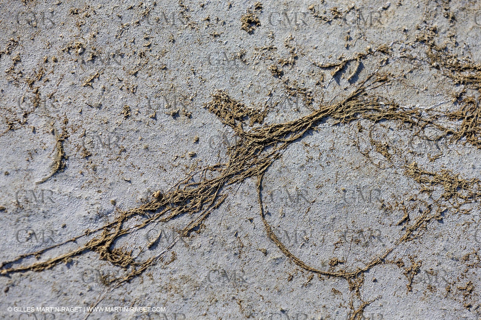 23 10 2014, Salins de Giraud (FRA,13), Salt & Speed 2014, Charlotte Consorti