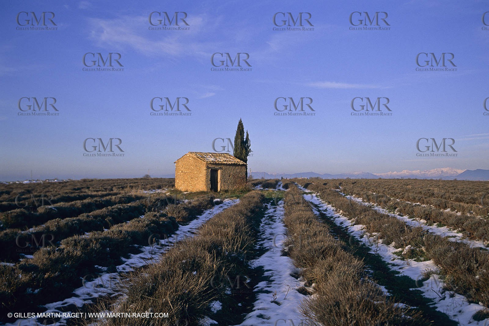 Provence under snow - Higher Provence - Valensole plateau