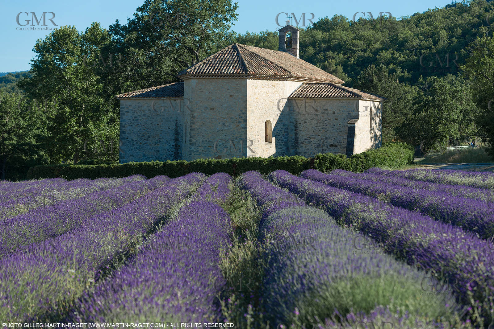 carmejuin3_6708.jpg