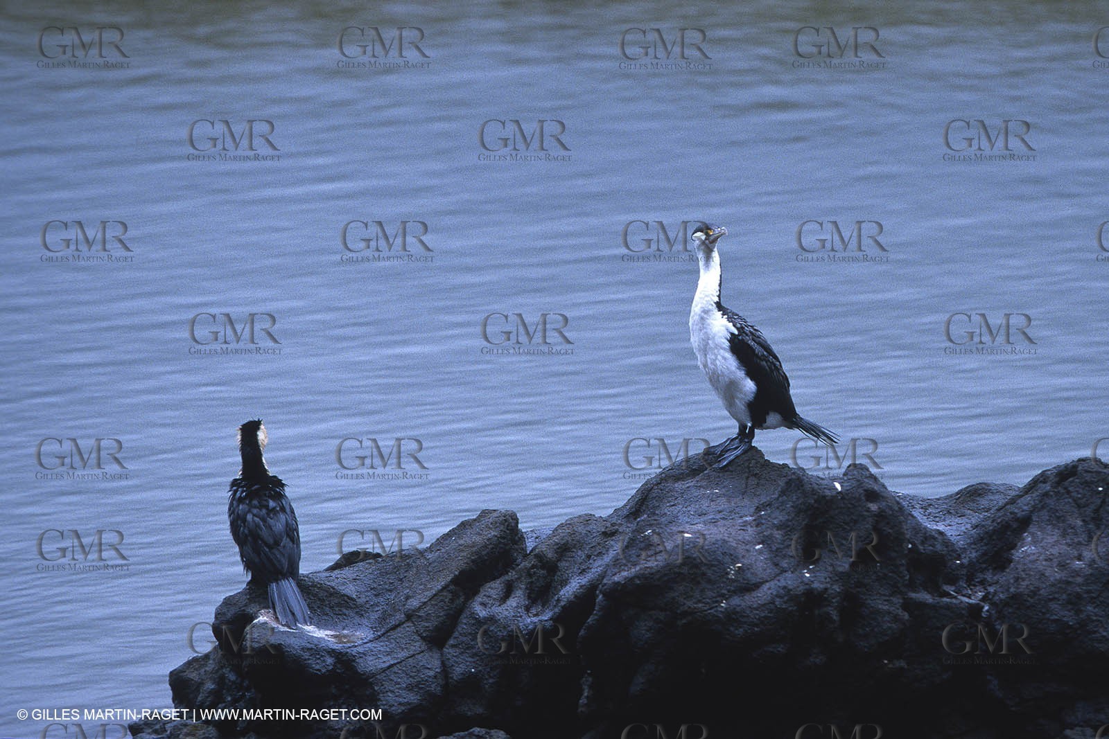 Destinations - South Pacific Ocean - New Zealand