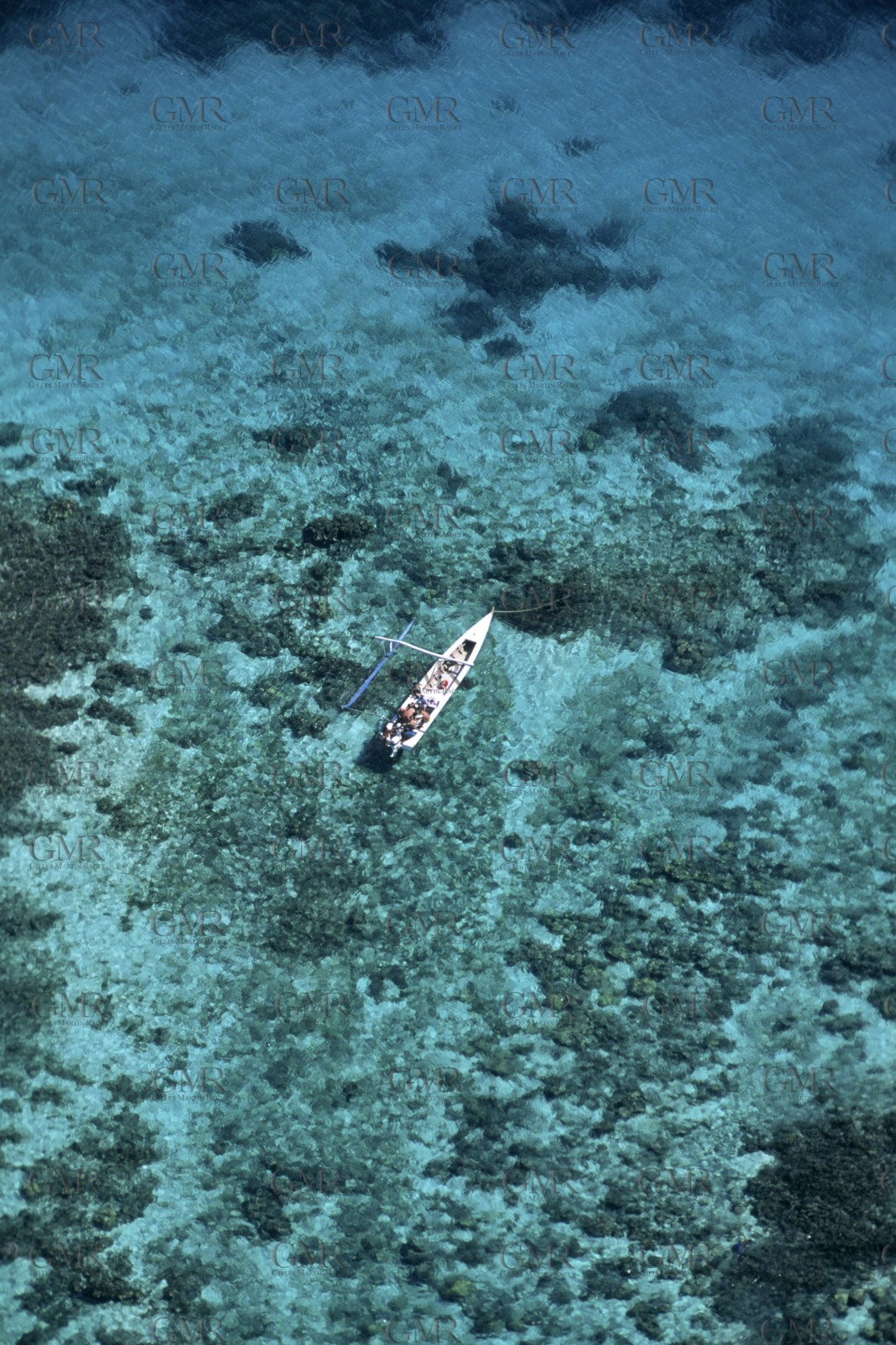 Polynesia