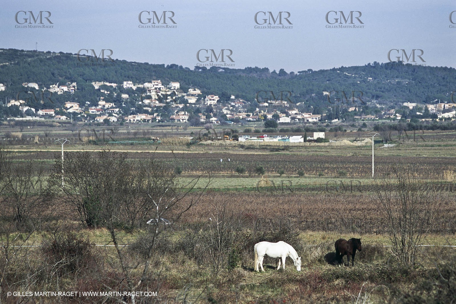 Nîmes Métropole landscapes (FRA,30) - Vaunage