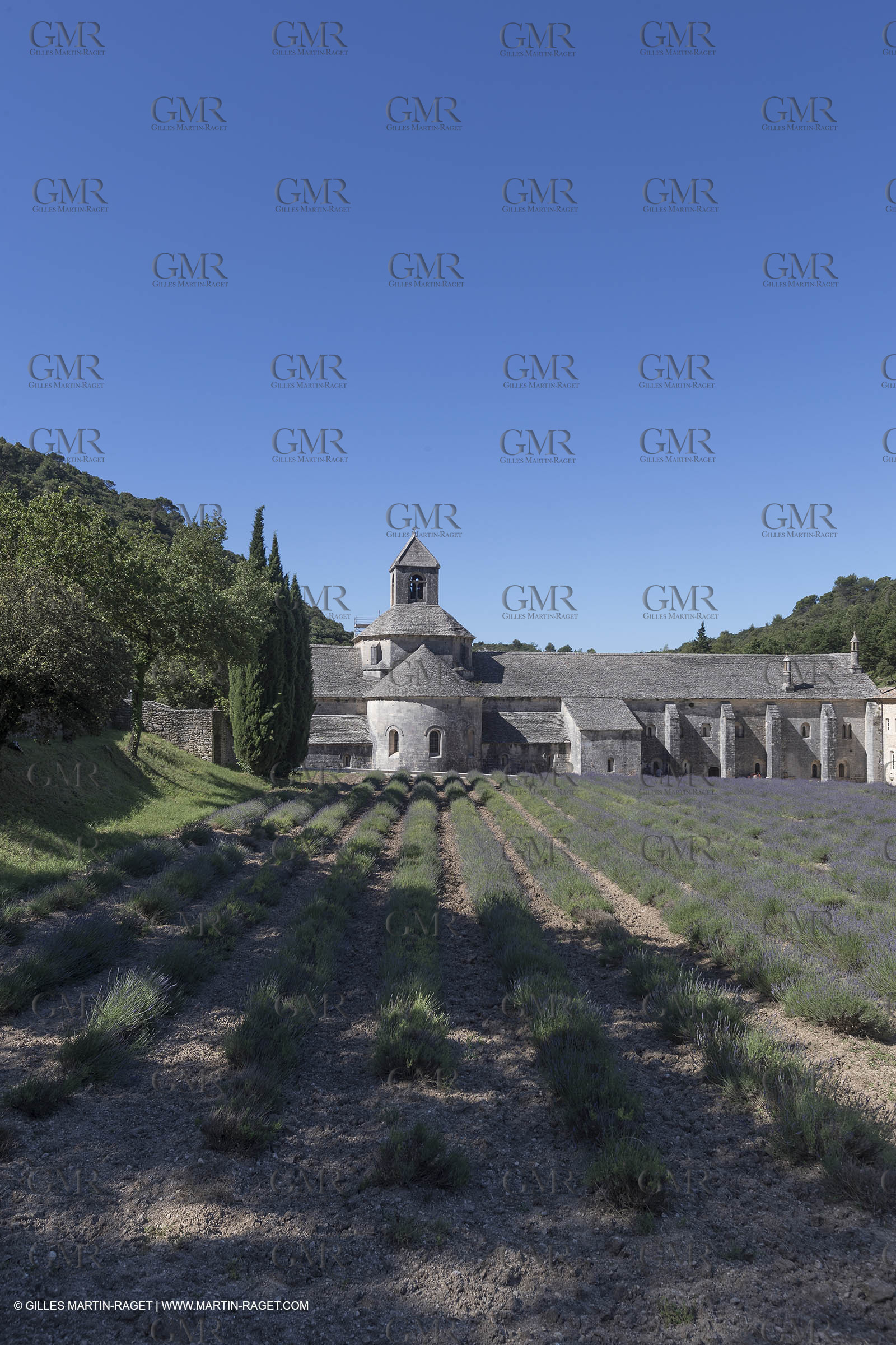 25 06 2018, Gordes (FRA,84), Abbaye de Sénanque