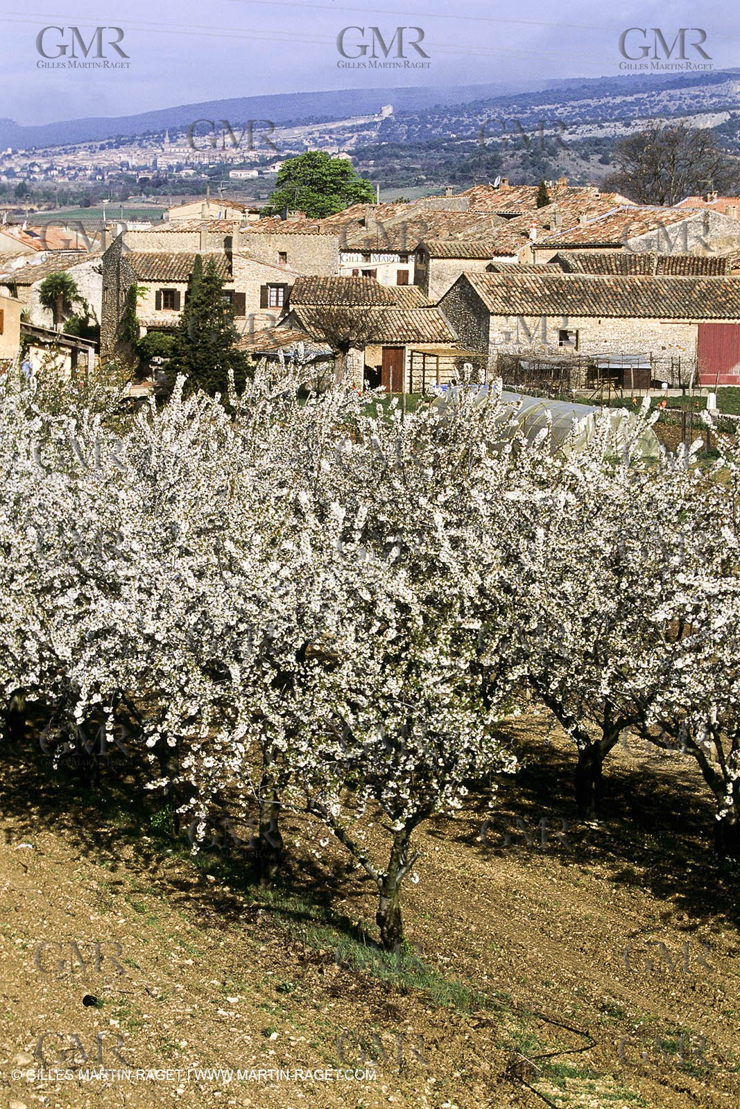Luberon in winter near Saint Satrunin les Apt (FRA,84)