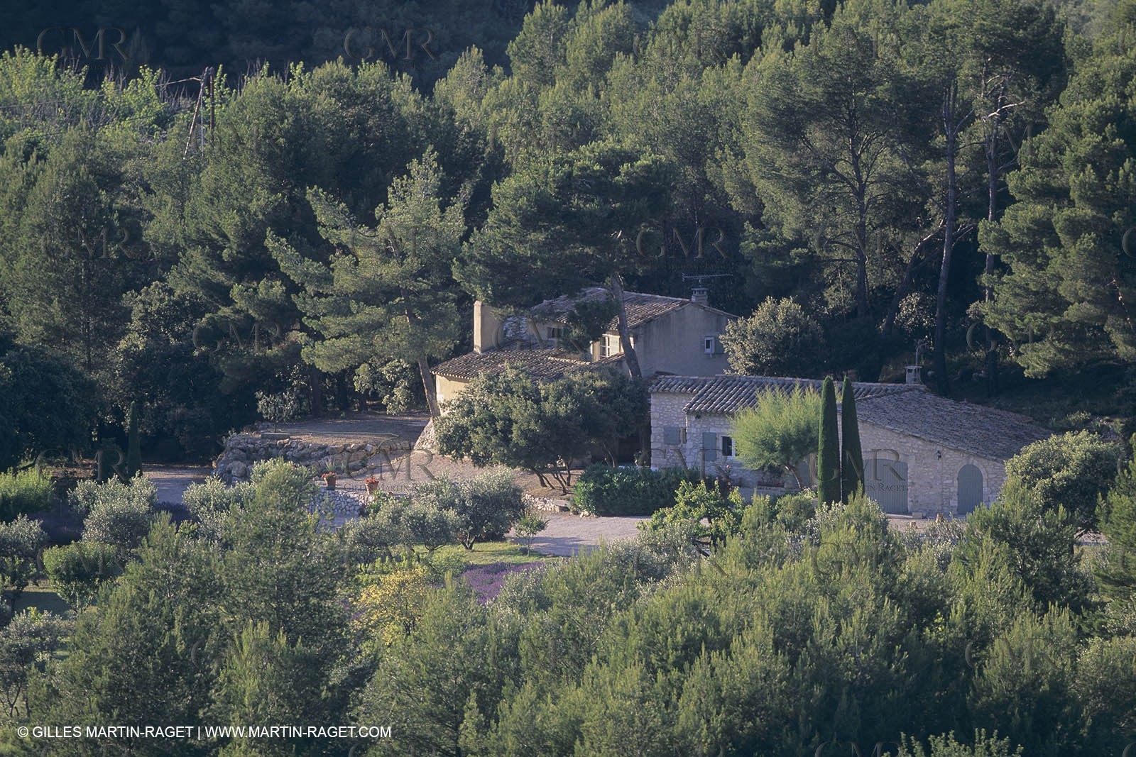France, south, Alpilles landscapes