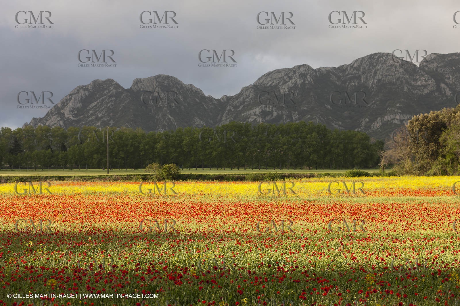 29 04 2012 ( Saint Rémy de Provence (FRA, 13) - Chaîne des Alpilles vers Romanin