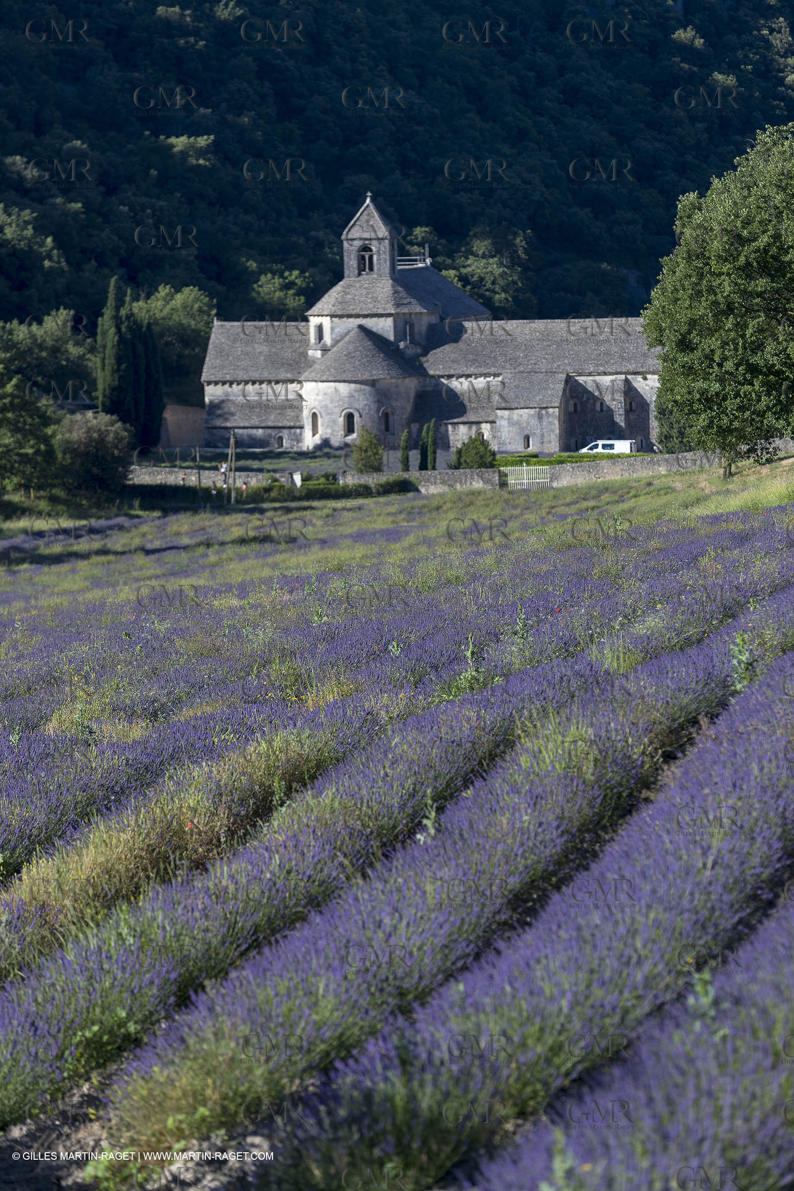 25 06 2018, Gordes (FRA,84), Abbaye de Sénanque
