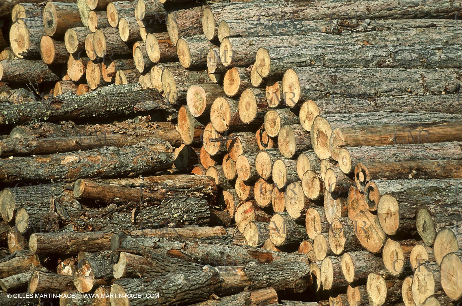 France - Southern Alps