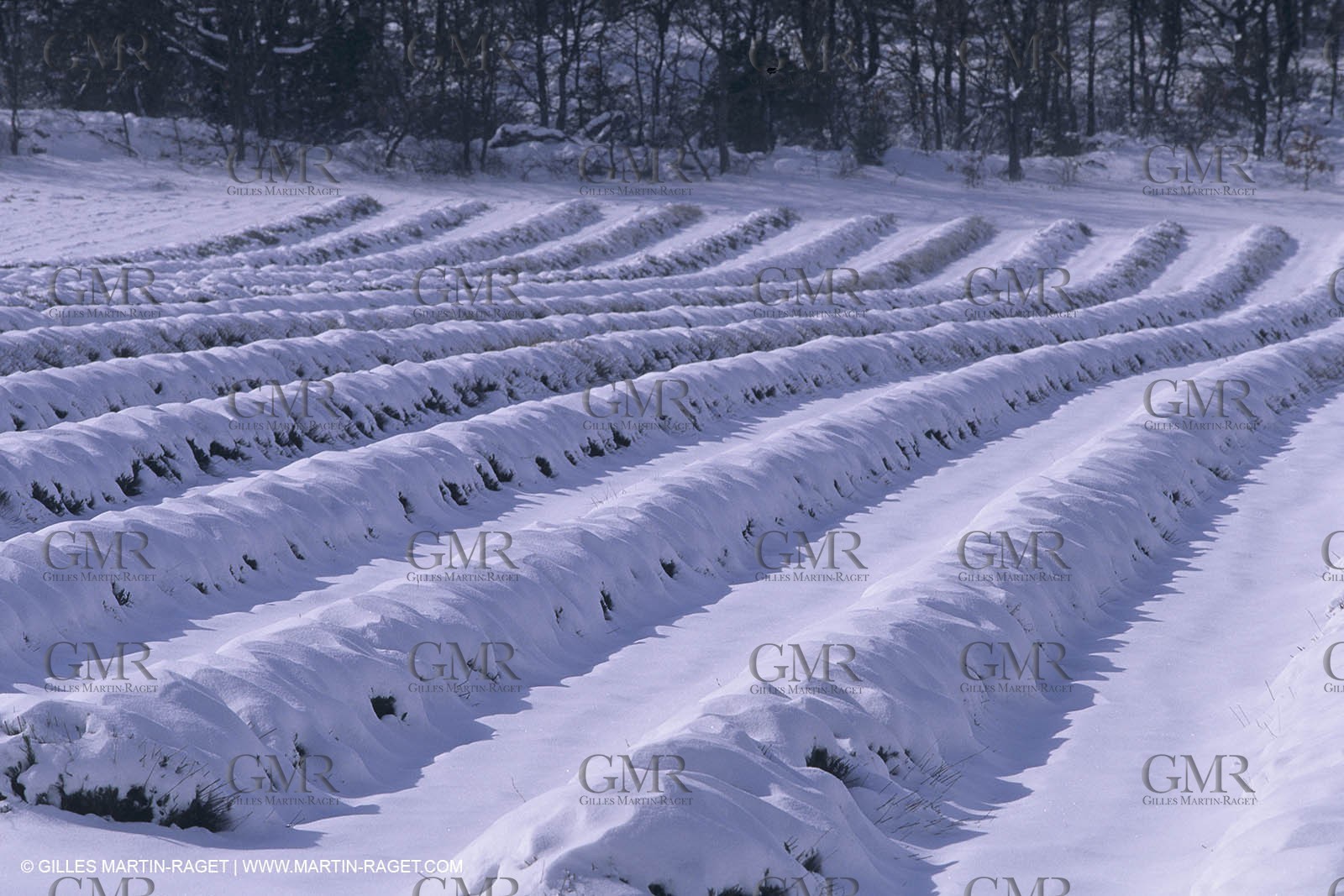 France, Provence sous la neige, Snow, winter, hiver