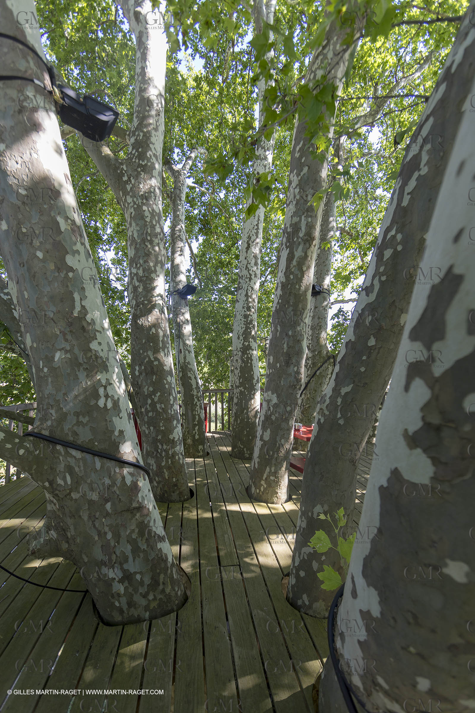 22 06 2018, Saint-Saturnin les Apts (FRA,84), Domaine des Andéols