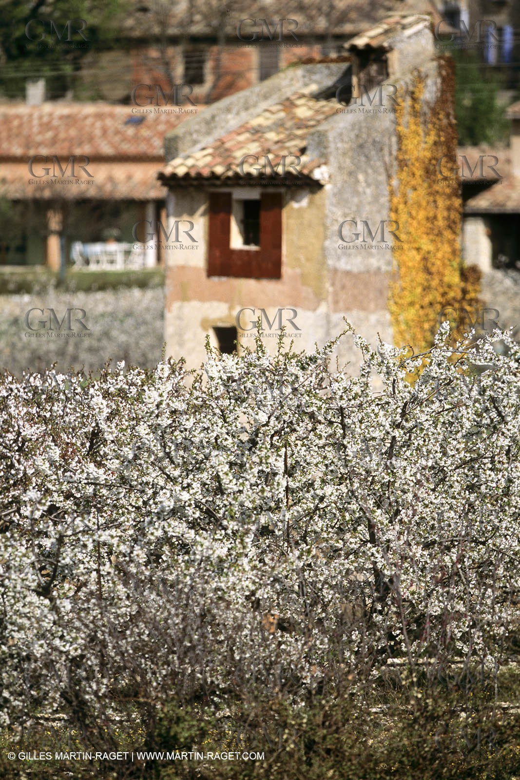 Luberon en hiver vers Saint Saturnin les Apts (FRA,84)