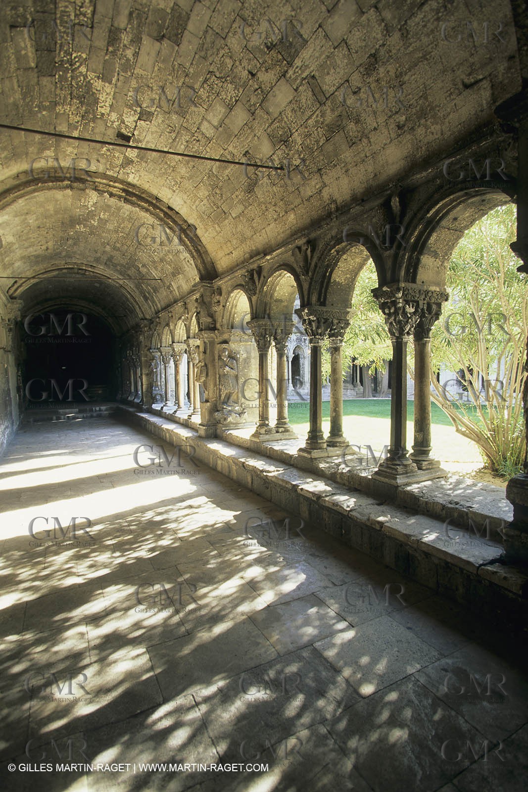 France , Provence, Saint Rémy de Provence