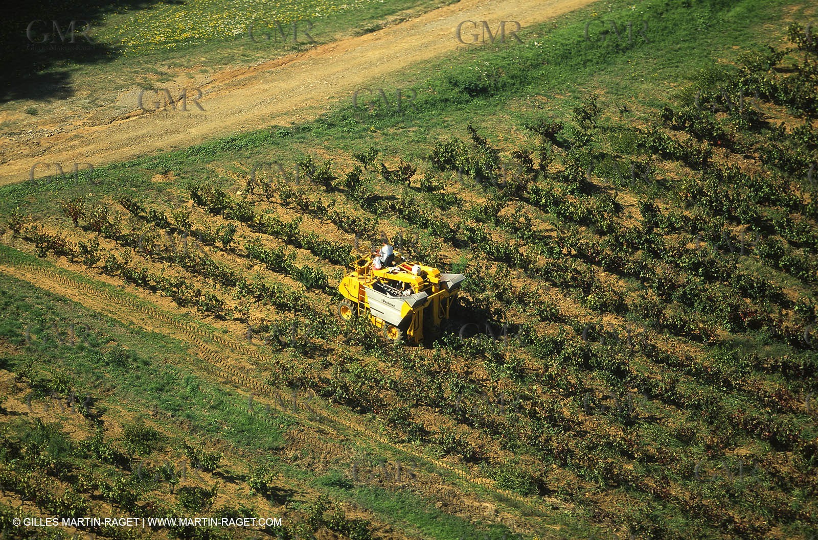 Provence, Le temps des vendanges
