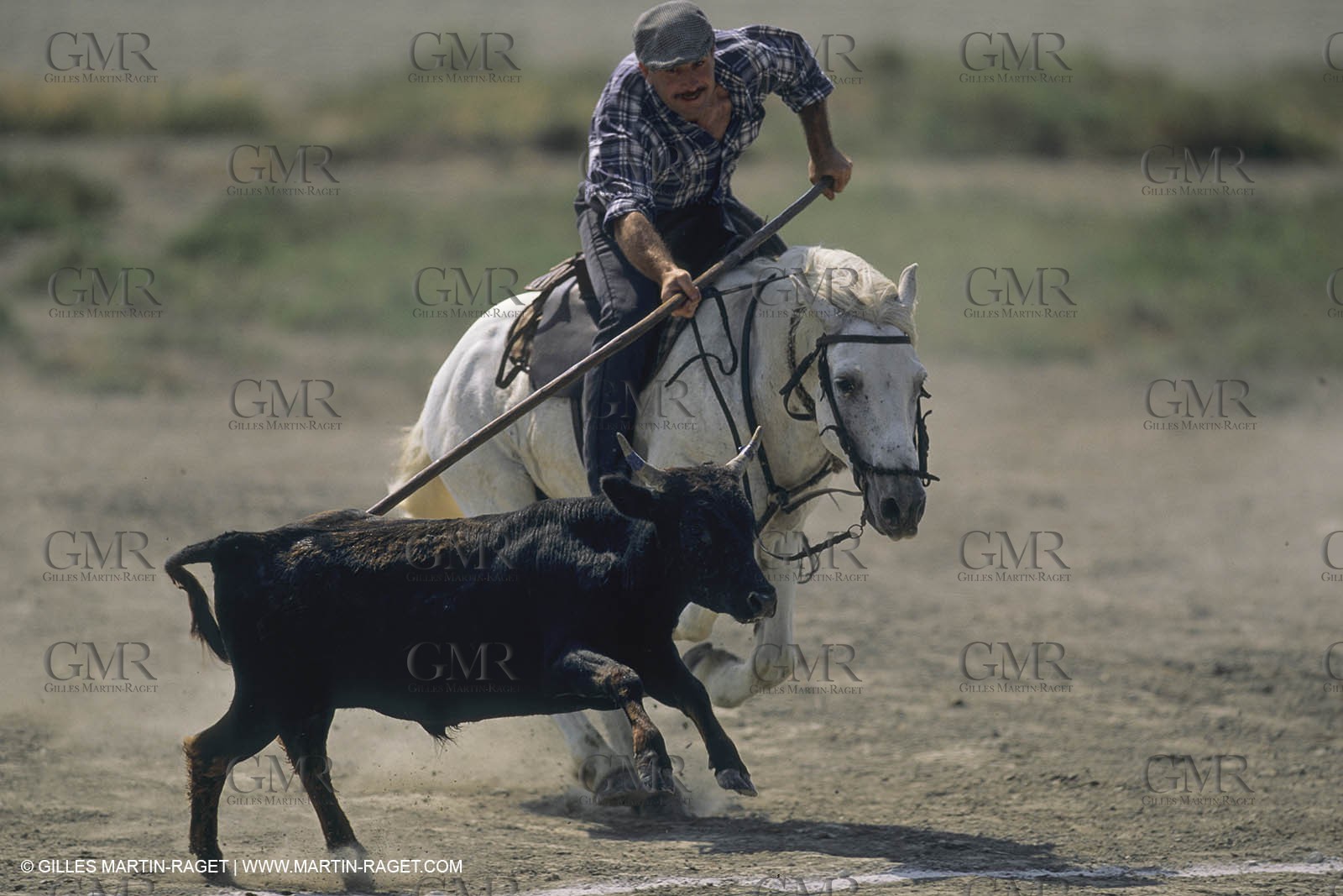 France, Provence, Camargue, Gardians de Camargue, métier, fêtes, élevage, tri