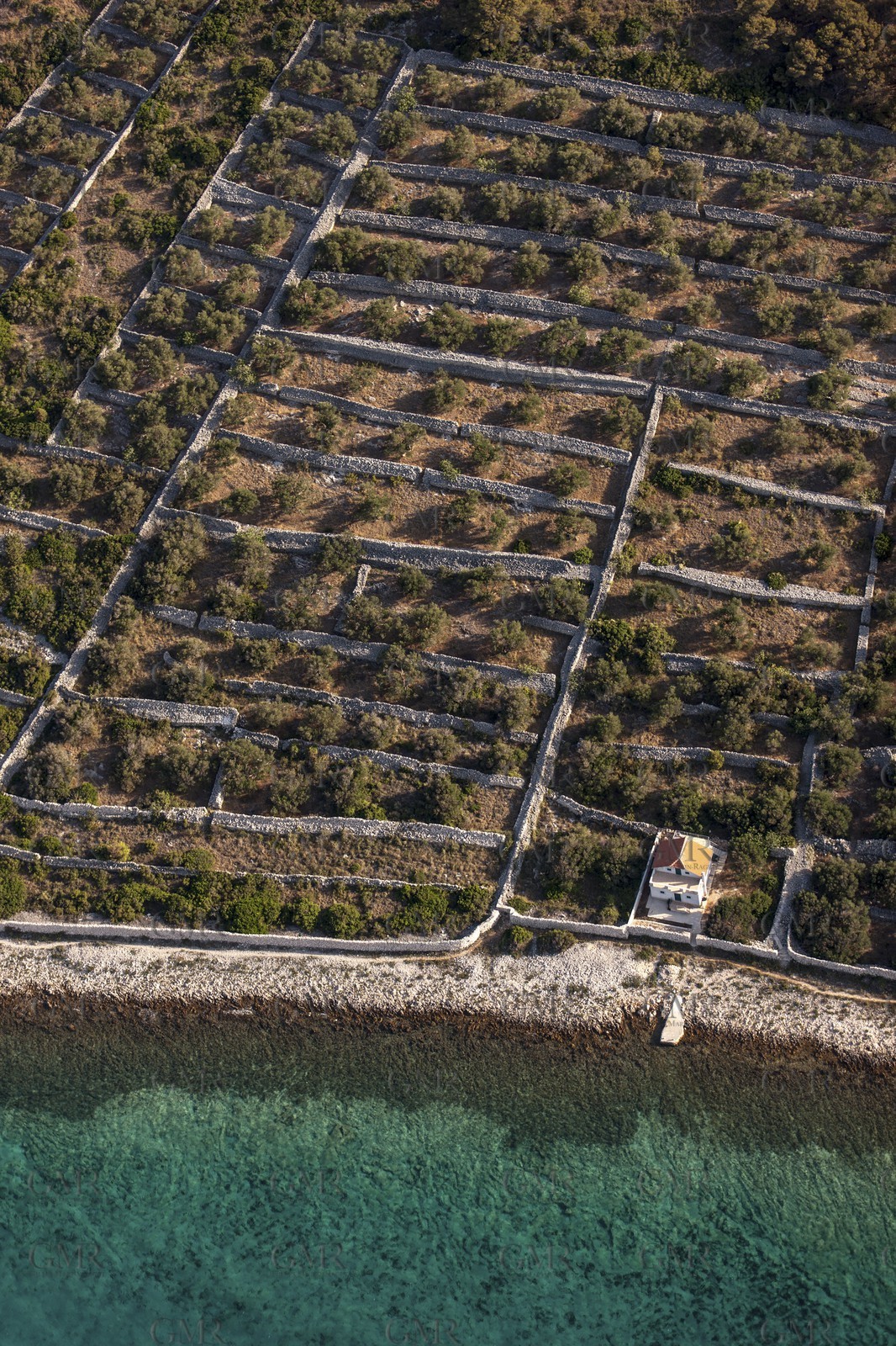 14 07 2012 - Archipel des îles Kornati (Croatie) - Ile d 'Otocik Gangaro