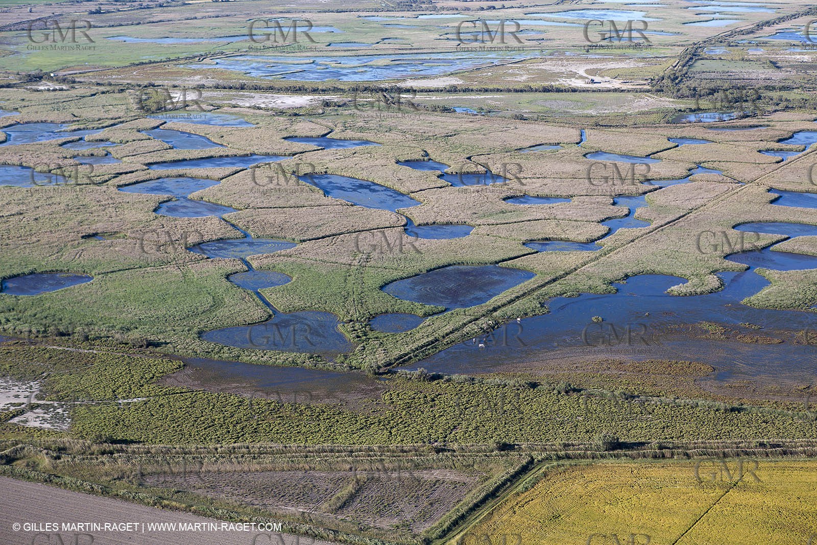 16 09 2012 - From AIx les Milles to la Grande Motte - Ponds north of Etang du Vaccares