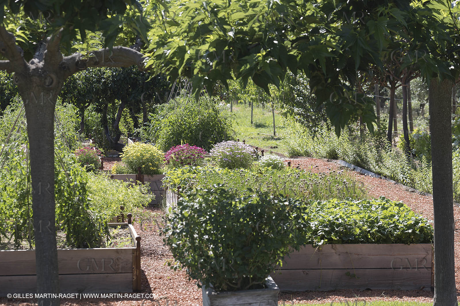 22 06 2018, Saint-Saturnin les Apts (FRA,84), Domaine des Andéols