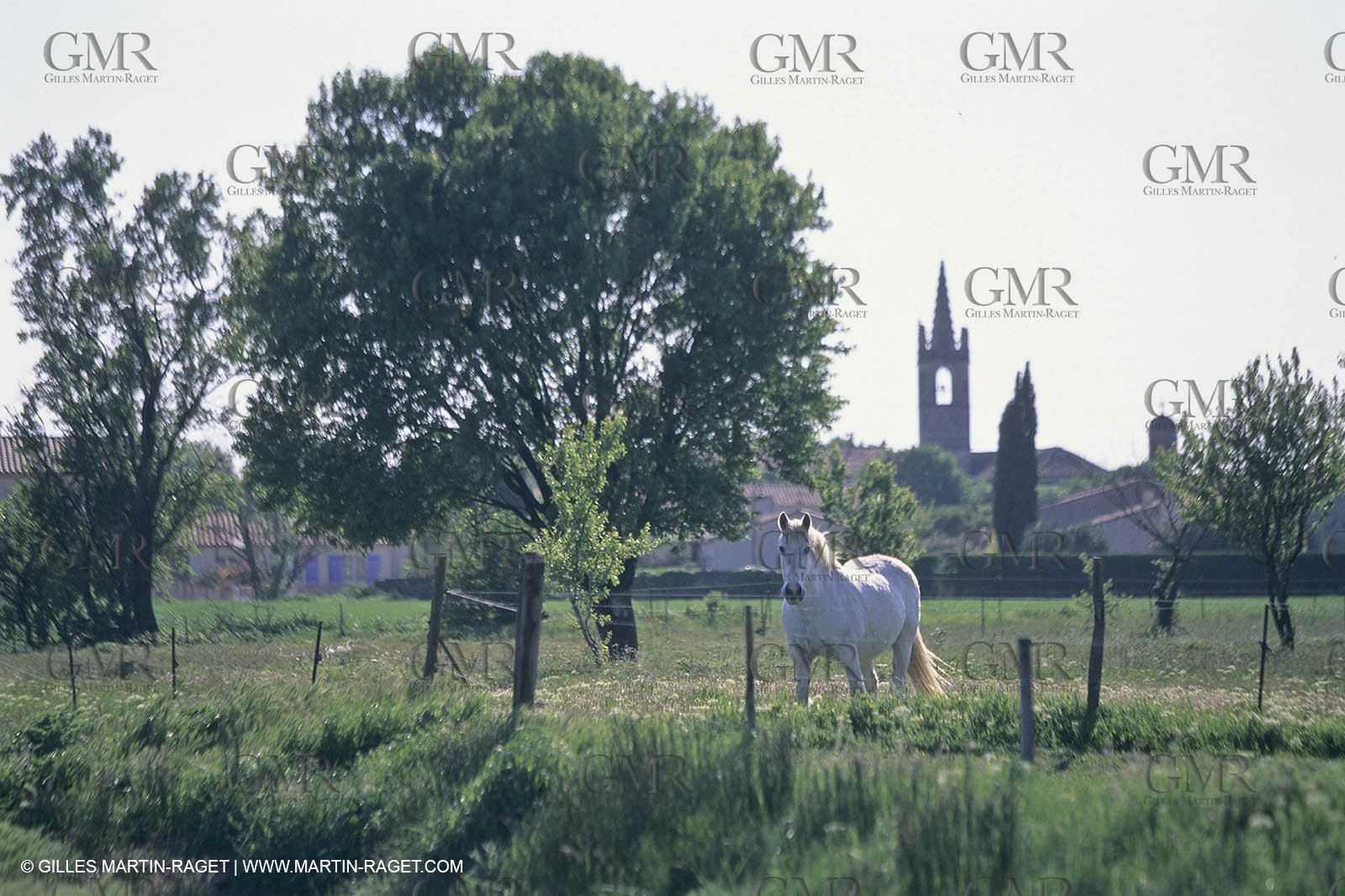 Nimes Metropole landscapes (FRA,30)