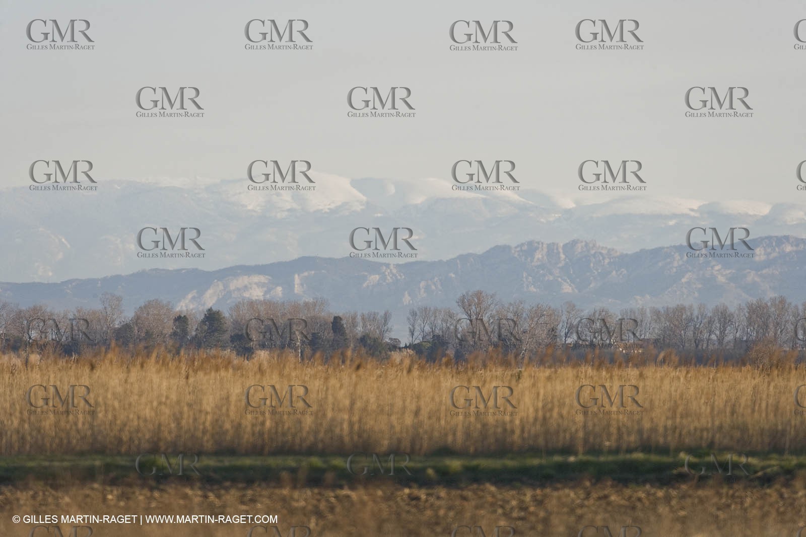 05 02 2008 - Arles (FRA, 13) - Arles surroundings landscapes
