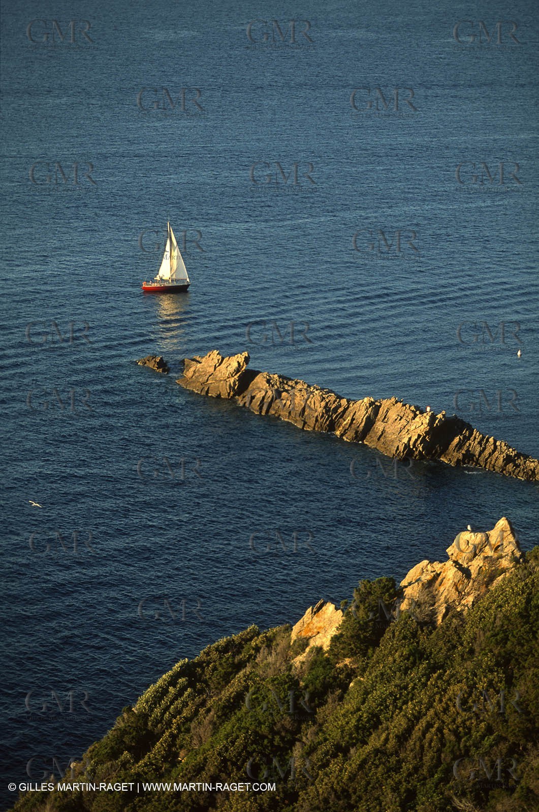 Var, Iles d'Hyères, (FRA, 83), Ile de Port-Cros