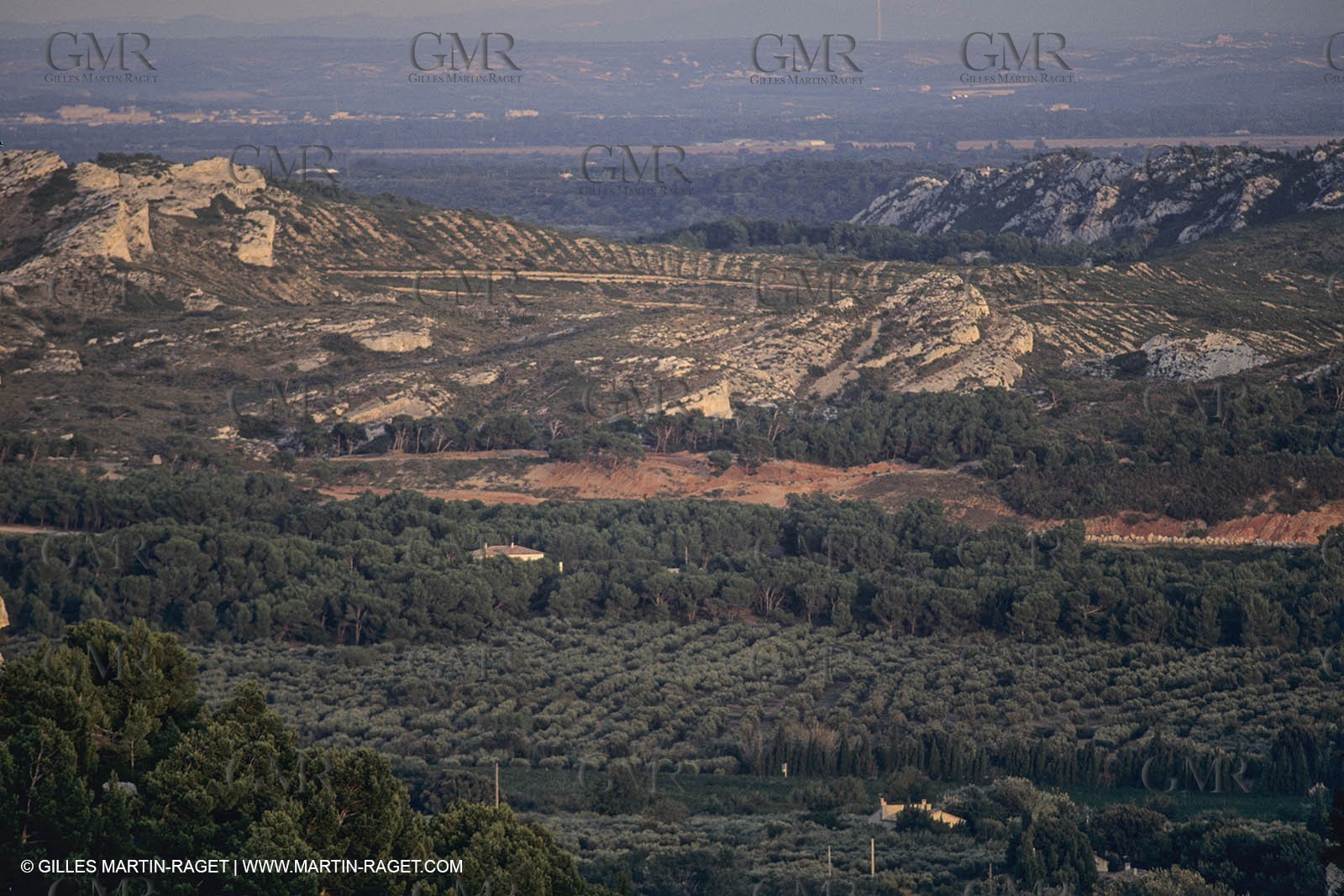 France, Provence, Les Alpilles