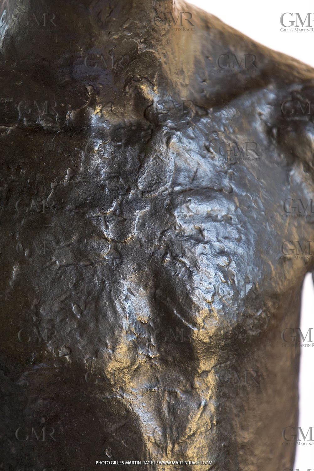 06 03 2016, Saint-Etienne du Grès (FRA,13), Oeuvre de Germaine Richier, Loretto I 1934, Bronze patiné foncé, Numéroté 4 6, fondeur Susse, Paris, 160 x 52 x 35 cm, Collection particulière