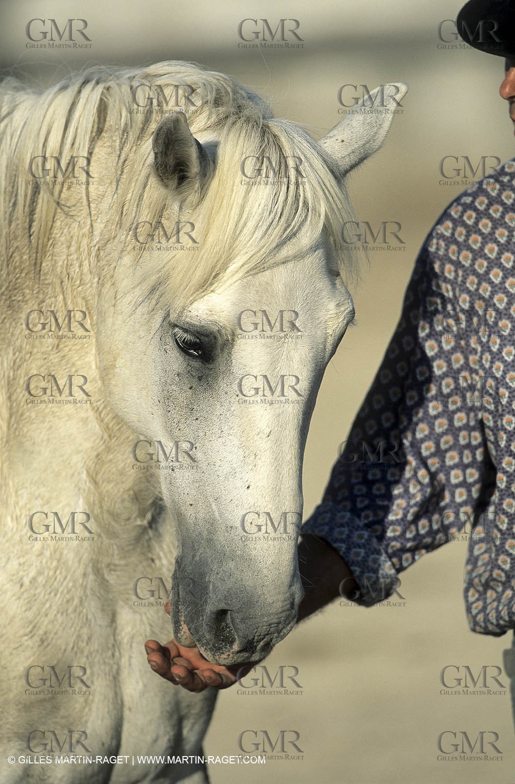 Camargue Horse and gardians