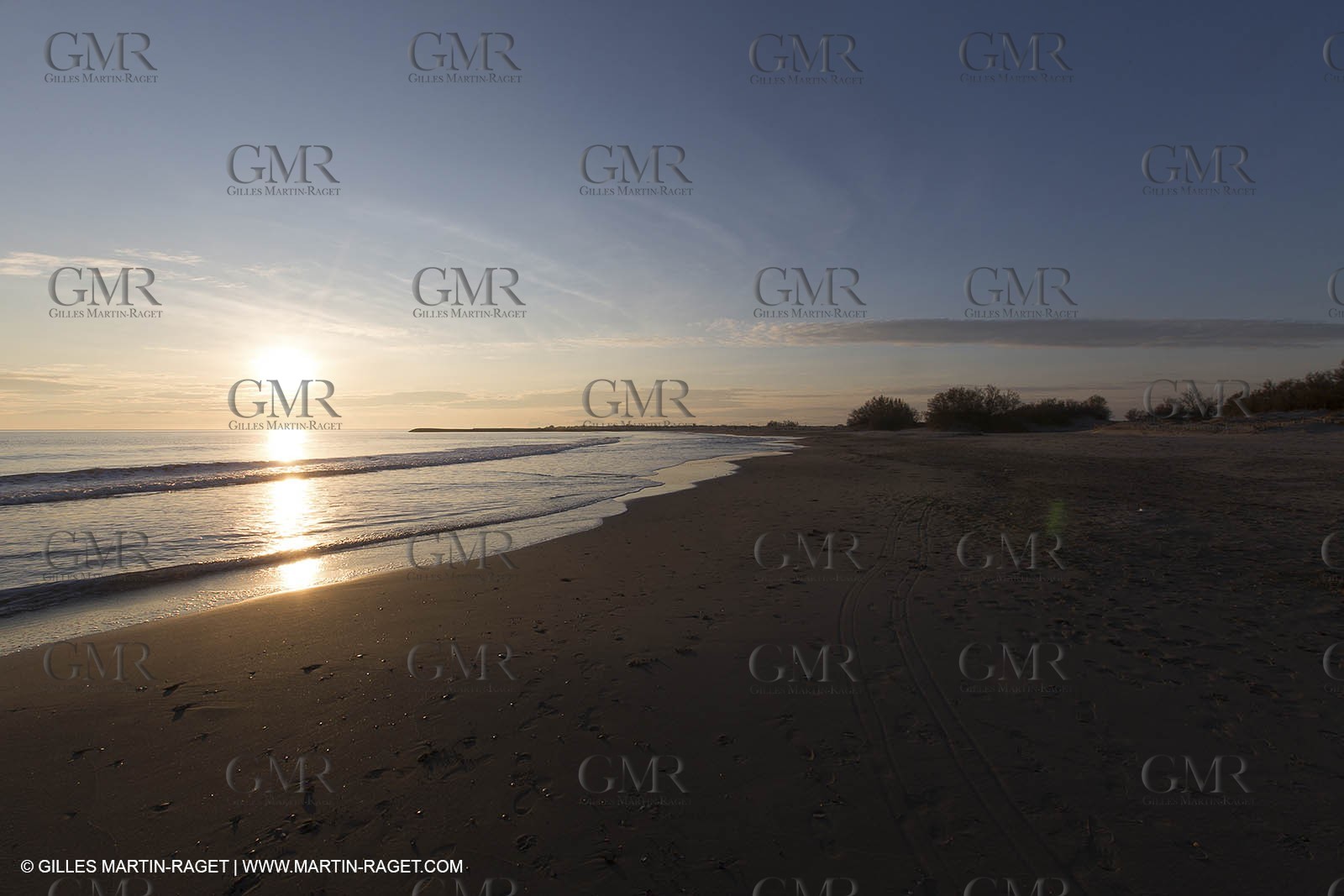 27 01 2013 - Les Saintes Maries de la Mer - Crinc Blanc residency