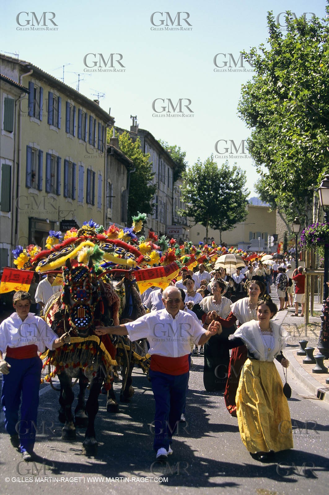 Saint Rémy de Provence (FRA,13) - Careto ramado (charrette fleurie)