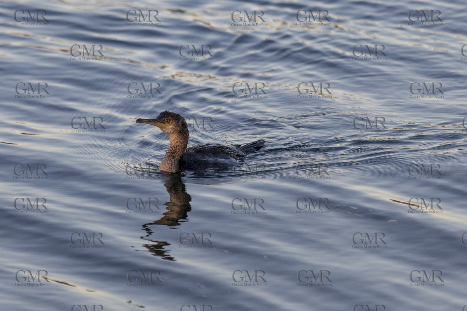 08 04 2015, Andraitx (Isla de Mallorca, Islas Baleares, ESP), Chantier Fountaine-Pajot, Motor Yacht 37