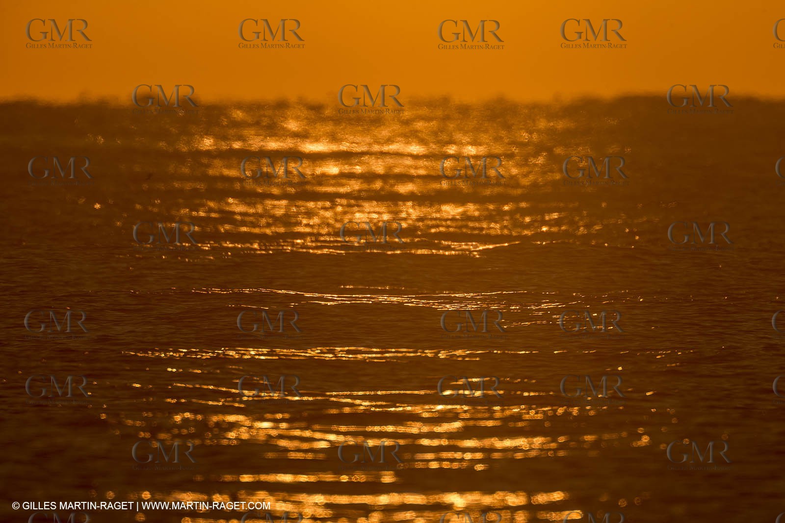 21 12 2014, Barcelona (ESP), Barcelona World Race 2014-15,