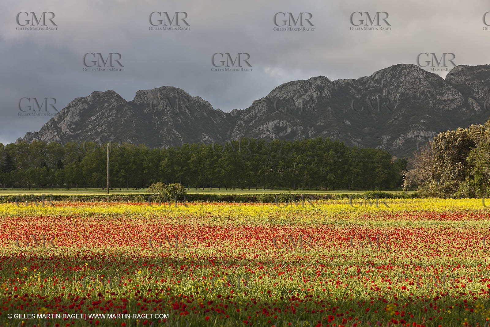 29 04 2012 ( Saint Rémy de Provence (FRA, 13) - Chaîne des Alpilles vers Romanin
