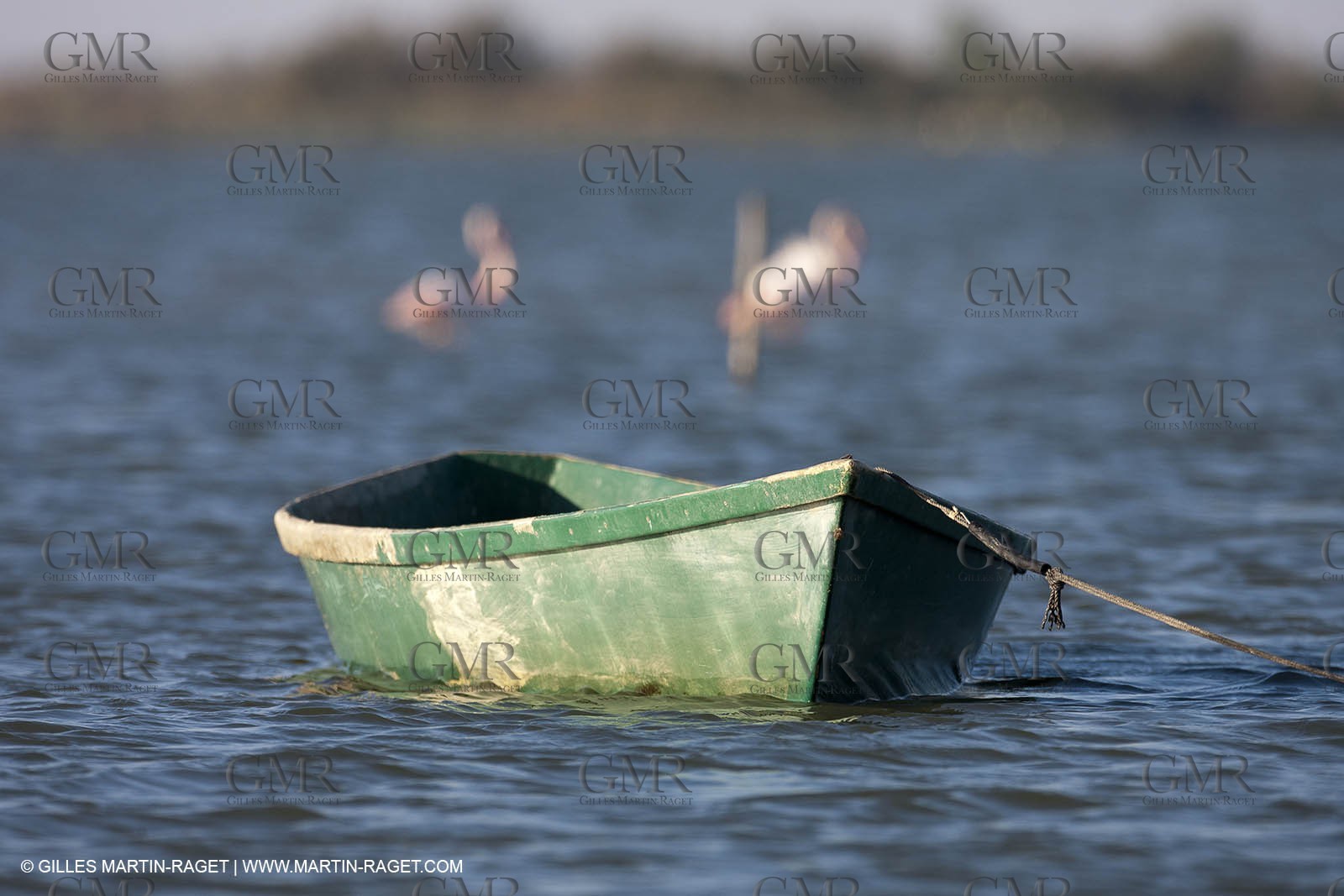 18 04 2011 - Les Saintes Maries de la Mer -  on Les Imperiaux pond