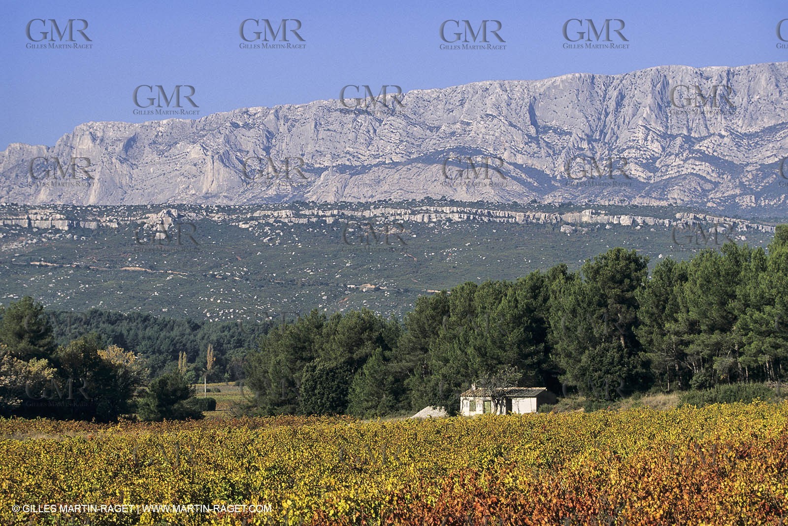 France, Provence, Pays d'Aix en Provence, vignoblmes des coteaux d'Aix, Côtes de Provence
