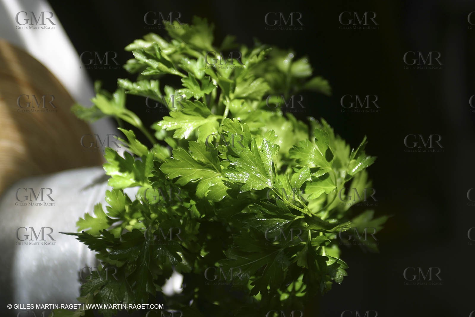 Cooking herbes from Provence - Garlic and Parsley