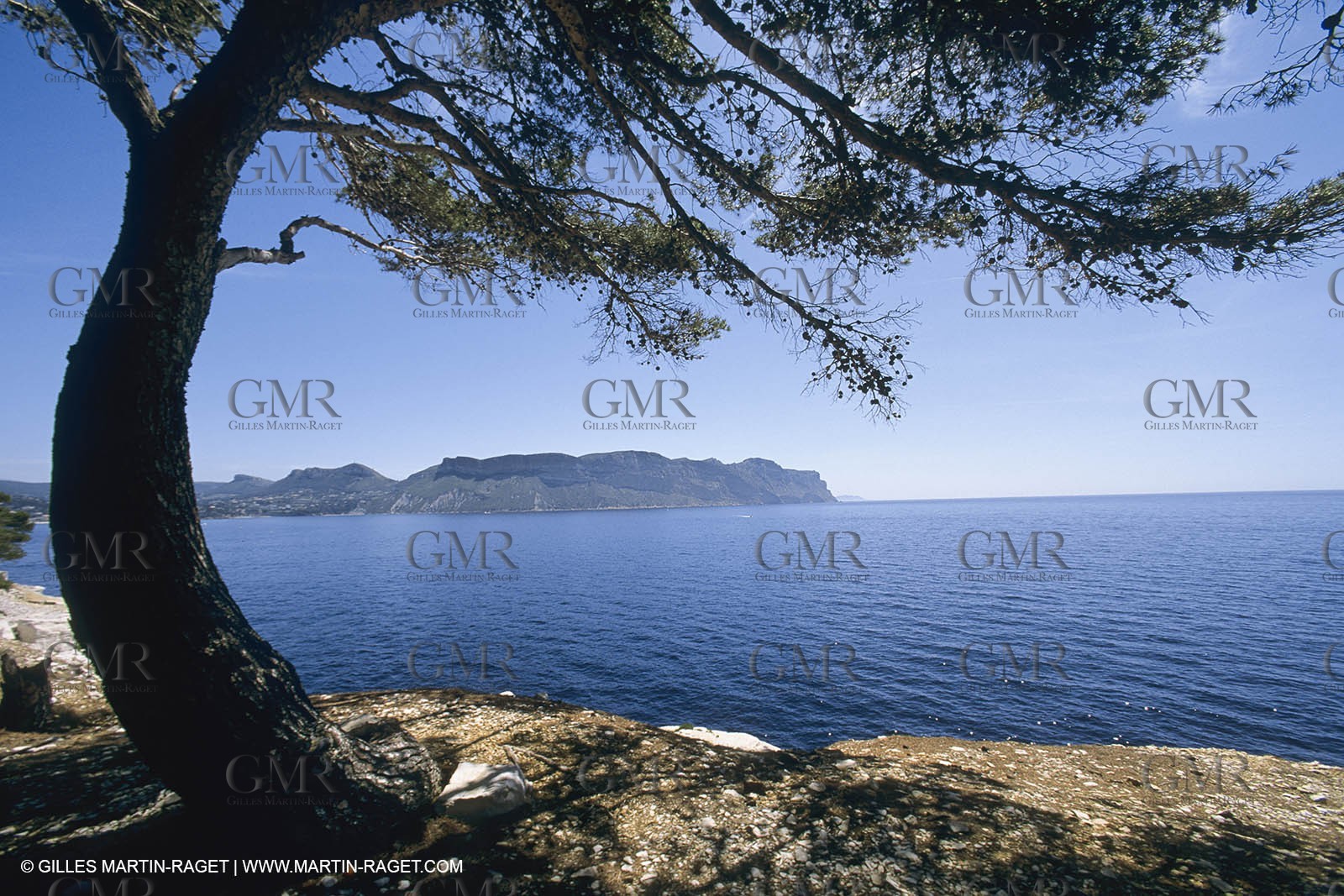 France, Provence, Les Calanques & Iles de Marseille, port Pin