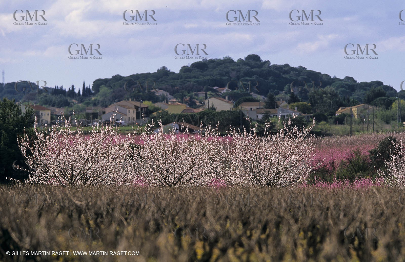 Paysages de Nîmes Métropole (FRA,30) -Costières