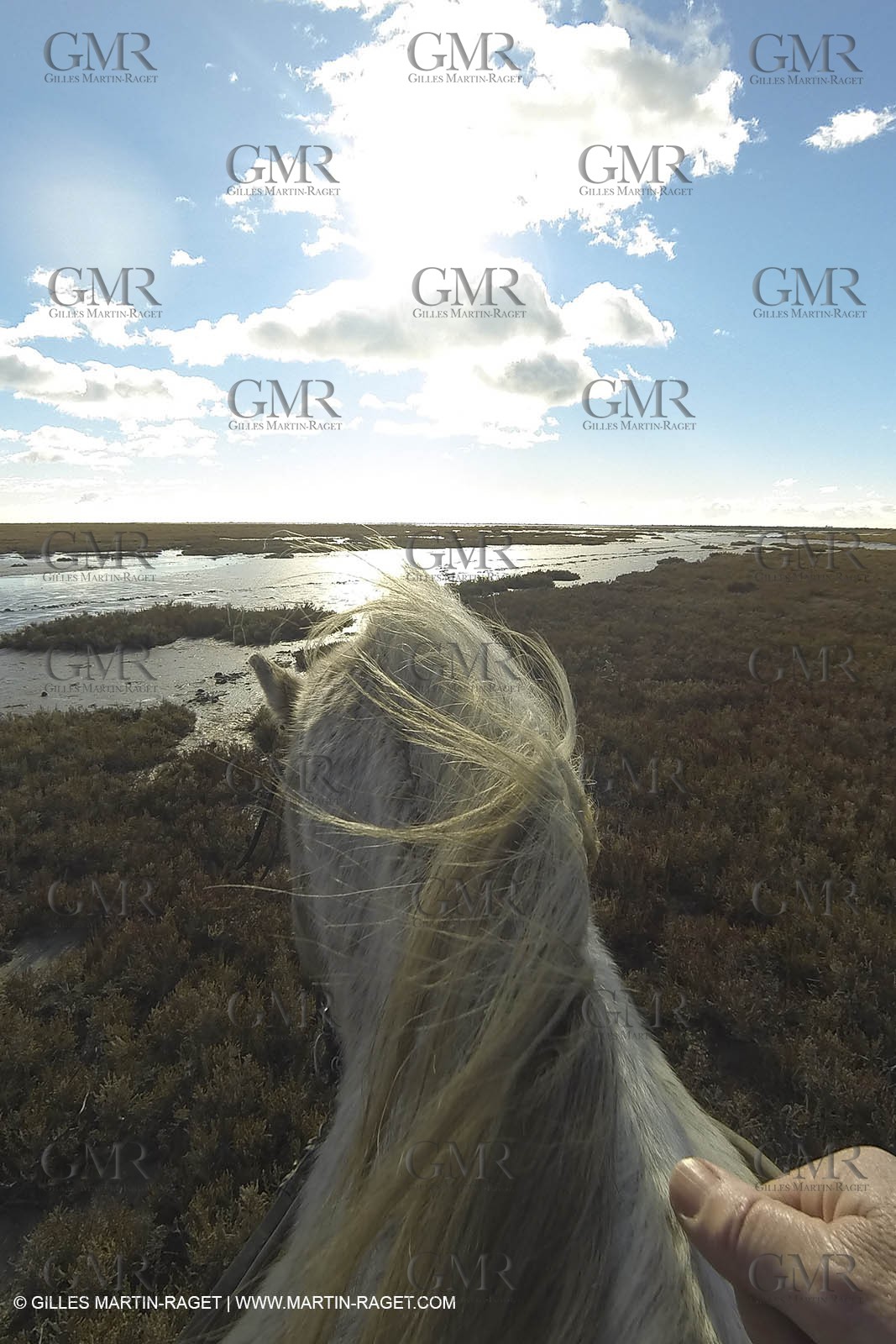 26 12 2013 - Les Saintes Maries de la Mer (FRA,13) - Horese riding at Cabanes de Cacharel