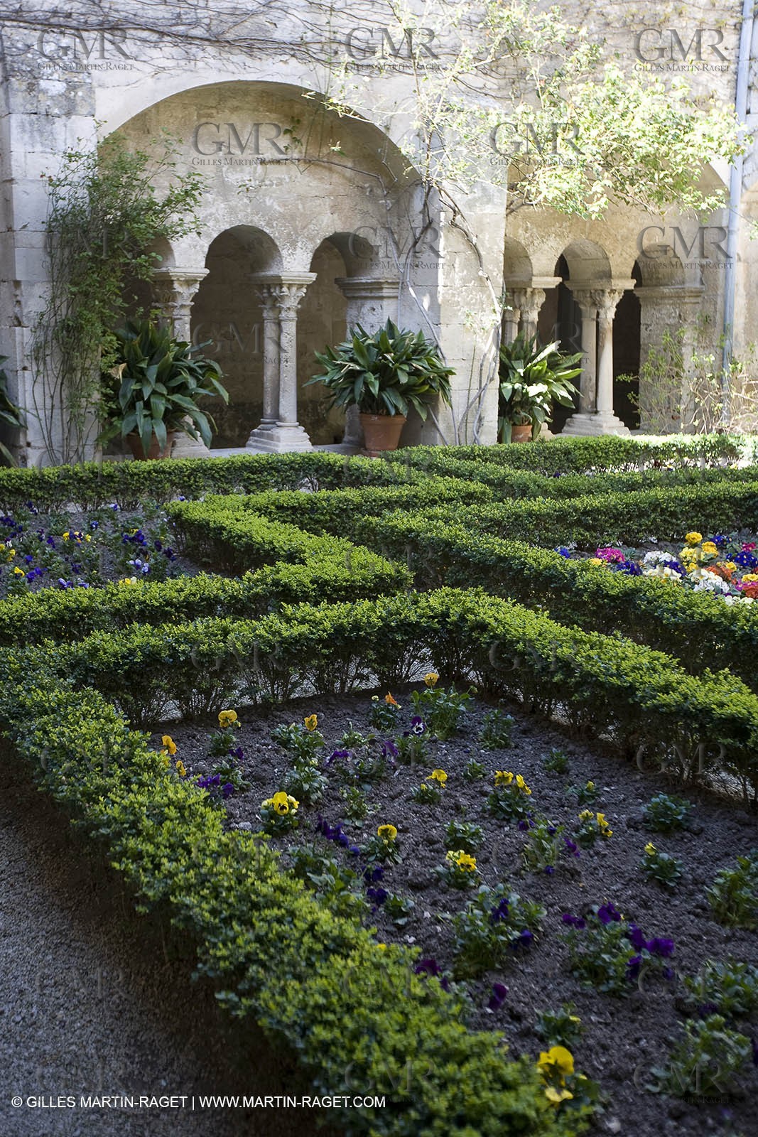 25 02 2005 - Saint Rémy de Provence - (FRA, 13) - Vincent Van Gogh south - Saint Paul de Mausole