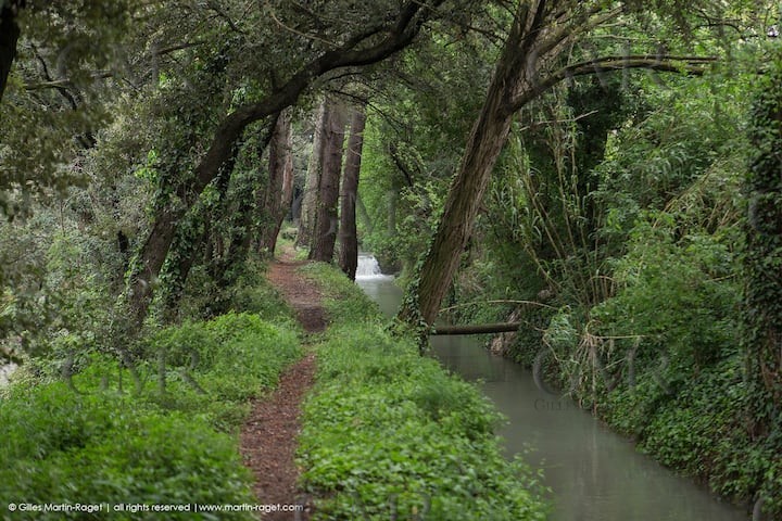 2047a04b-321f-4514-863d-58e4efab9588