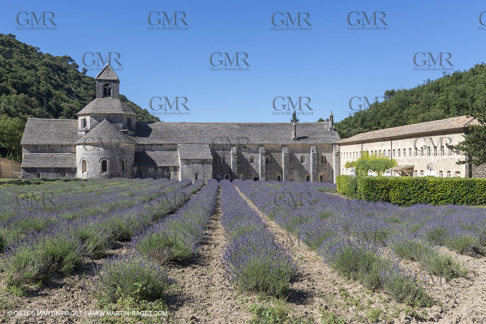 25 06 2018, Gordes (FRA,84), Abbaye de Sénanque