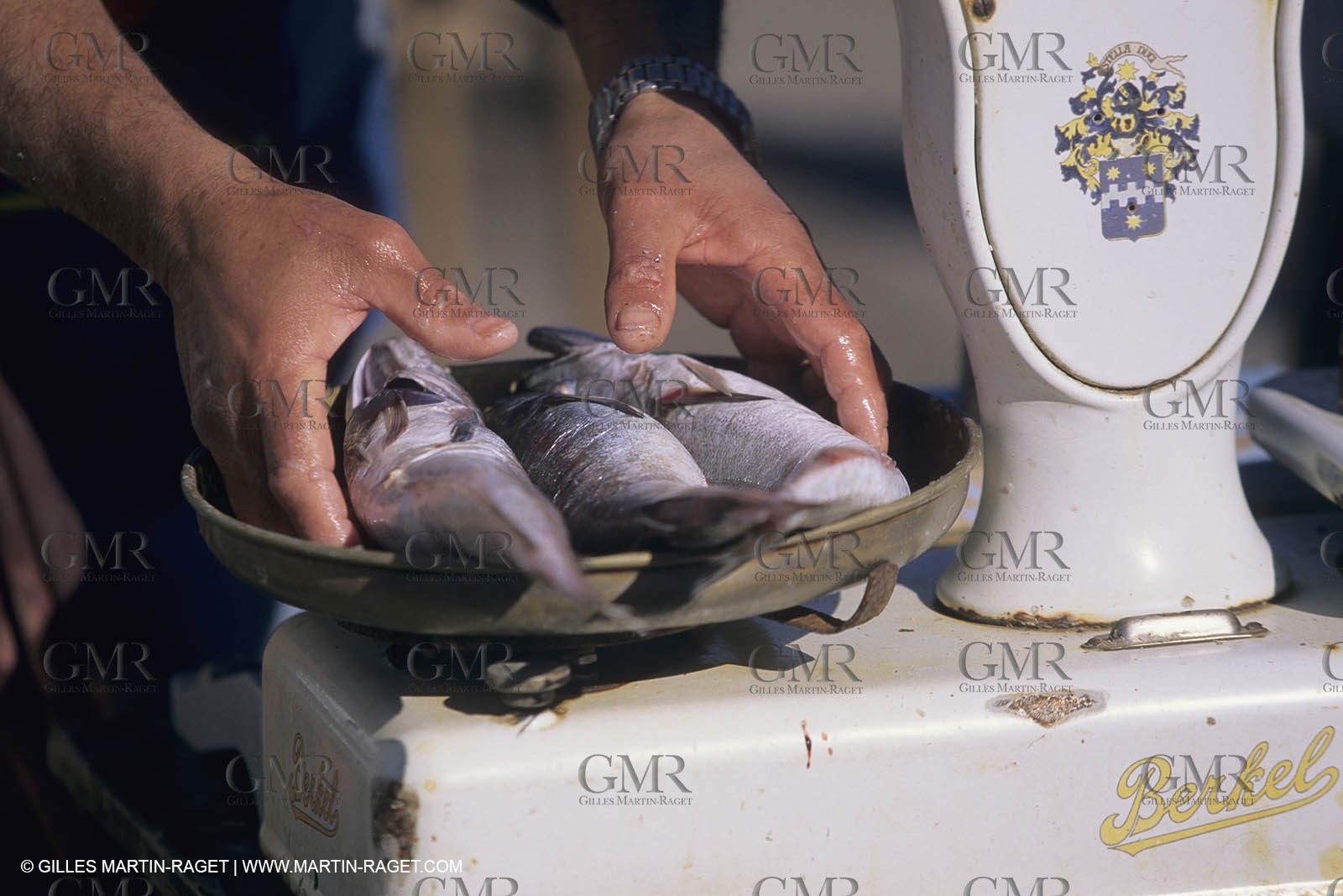 France, Provence, Cooking, Bouillabaisse
