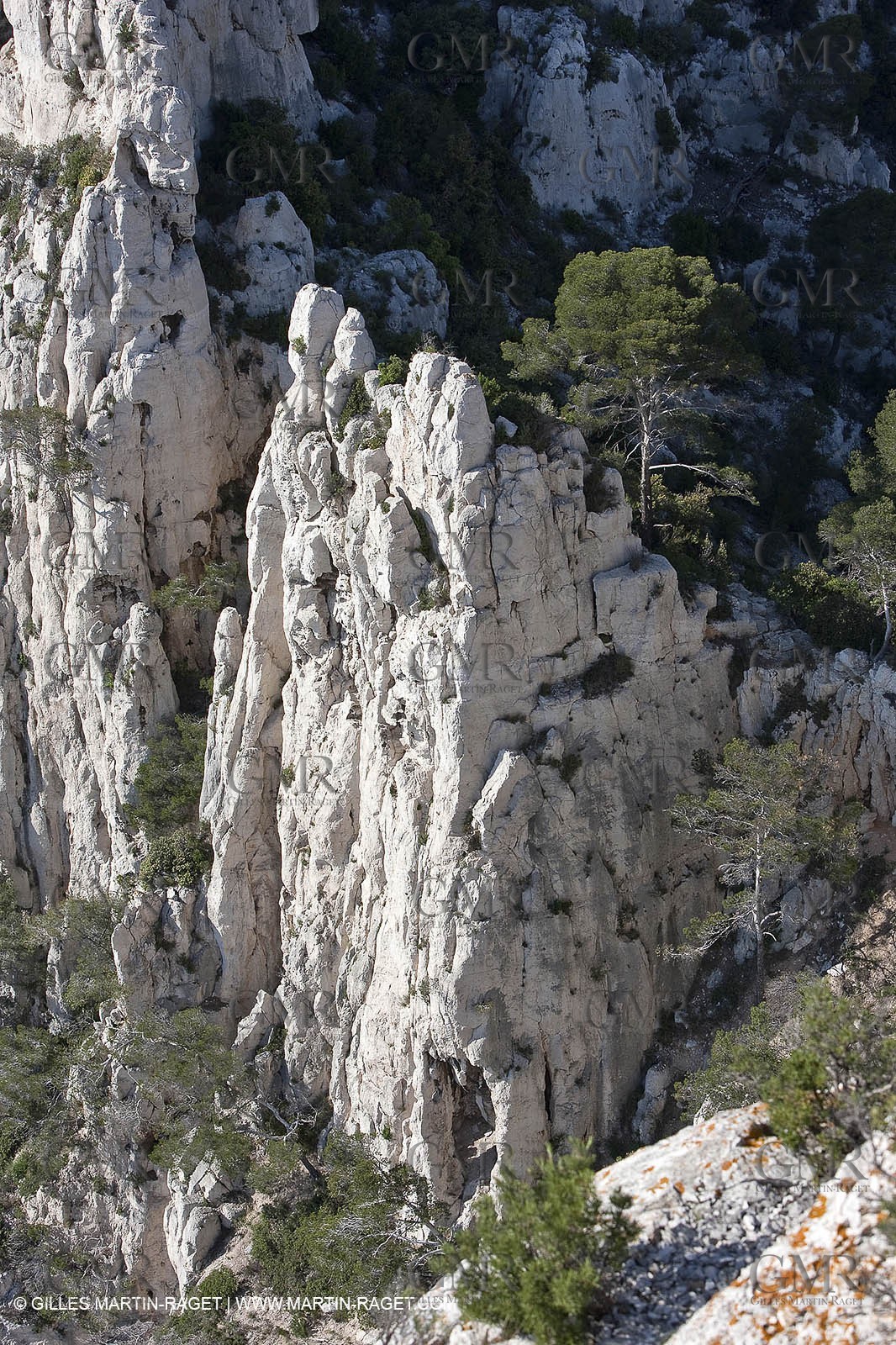 06 05 2009 - Marseille (FRA, 13) - Les Calanques - On Castelviel plateau - Calanque de Loule