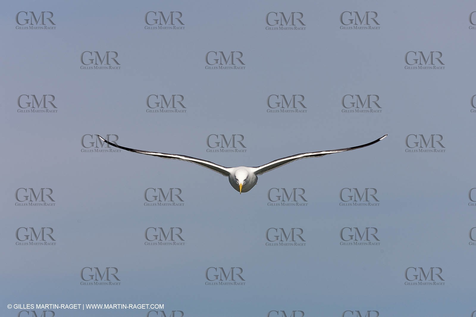 20 02 2013 - San Francisco (USA) - 34th America's Cup - Red Bull Youth America's Cup - Selection Series, session 2, Sailing Day 1