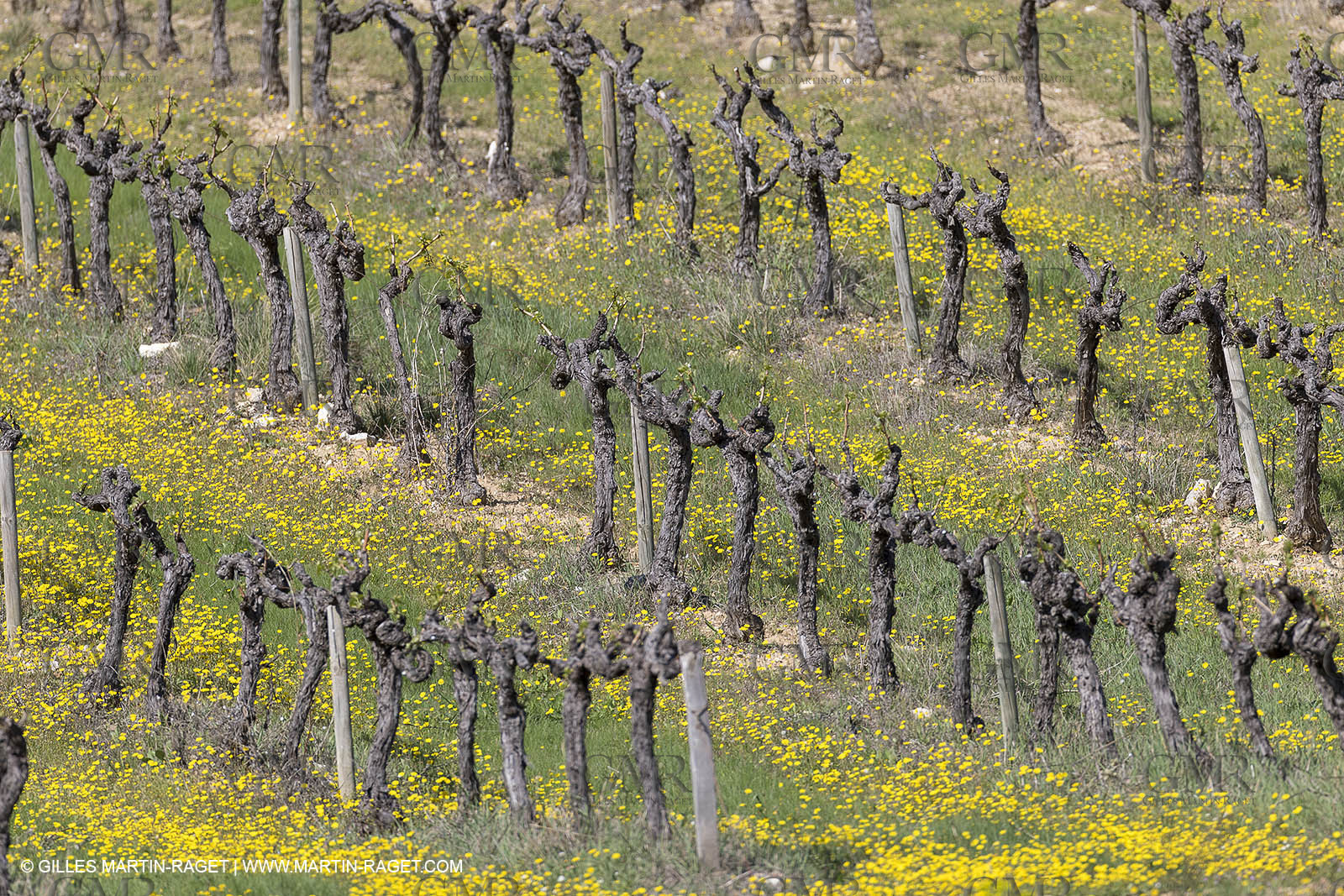 19 04 2018, Lacoste (FRA,84)