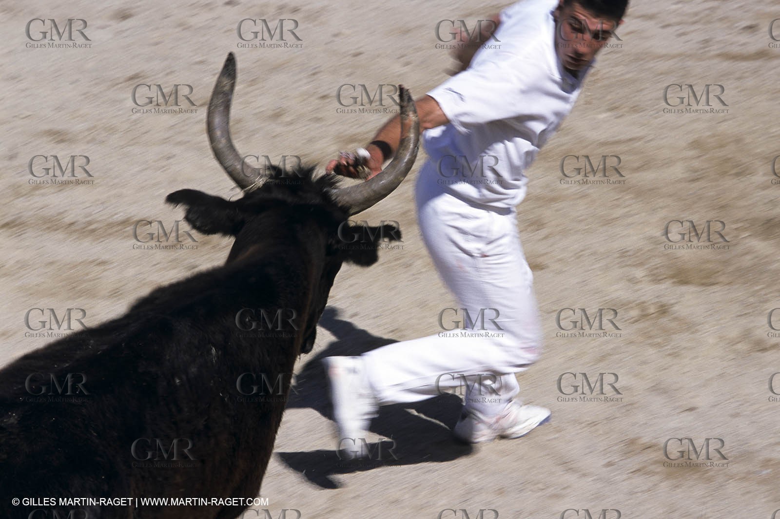 Gard, (FRA,30) - Camargue bull game