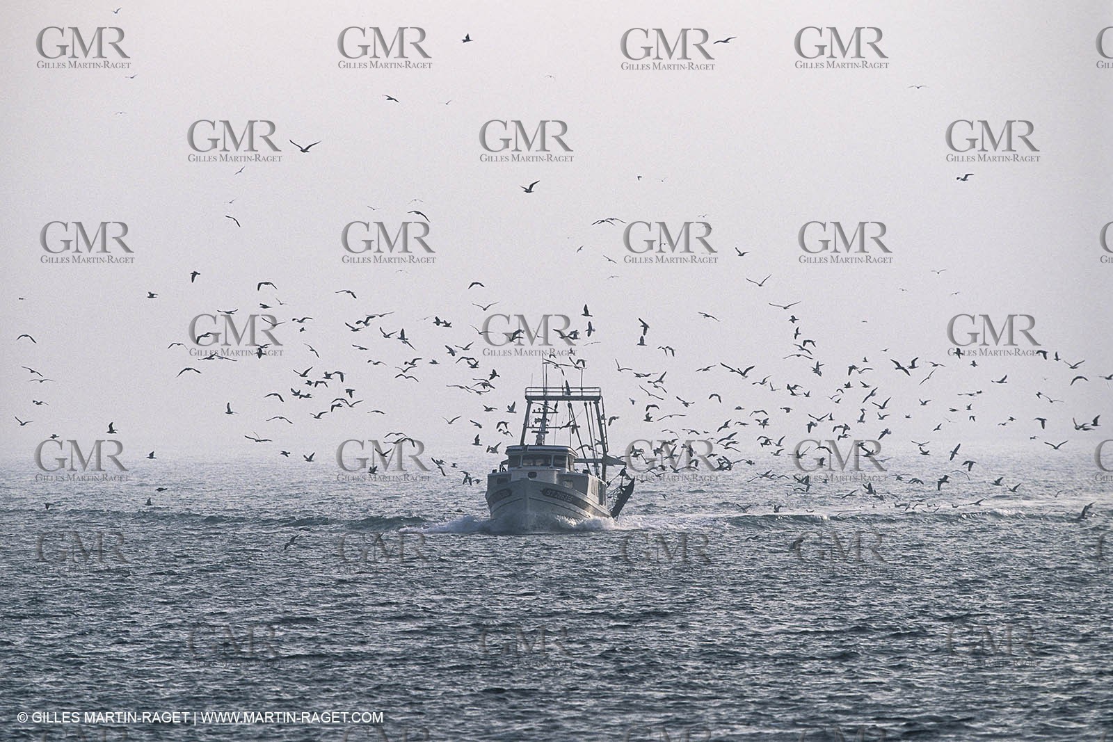 Monde maritime, Pêche, pêcheurs, bateaux de pêche, Marine world, fishing, fishermen, fishing boats