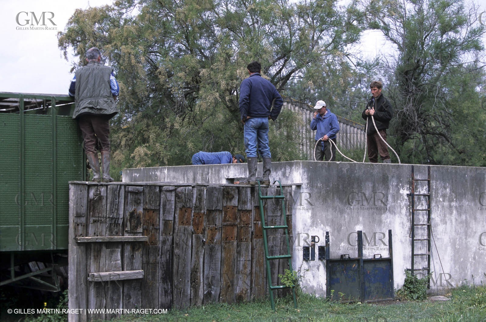 Arles - Camargue gardians (cow boys) at work