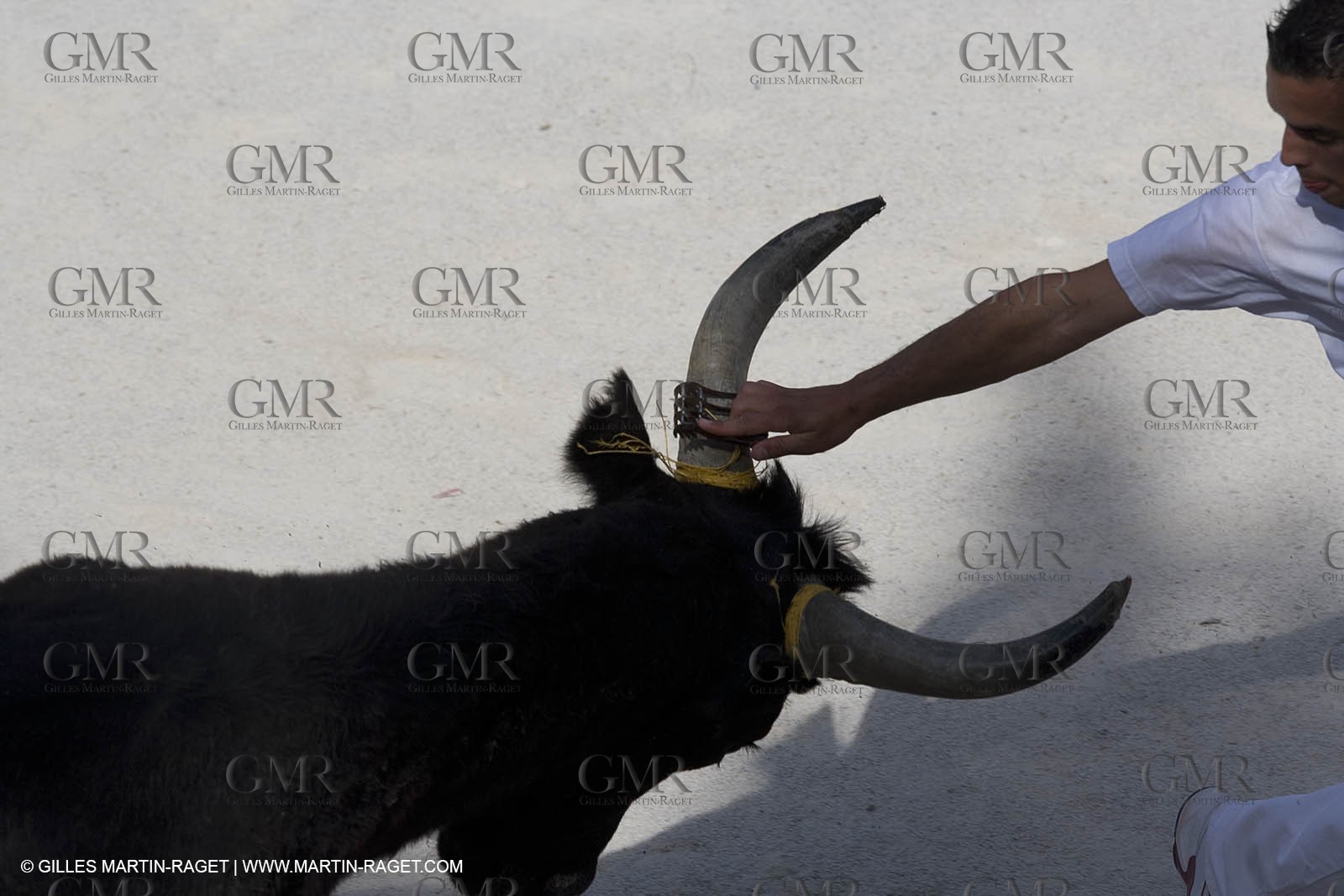 bull games