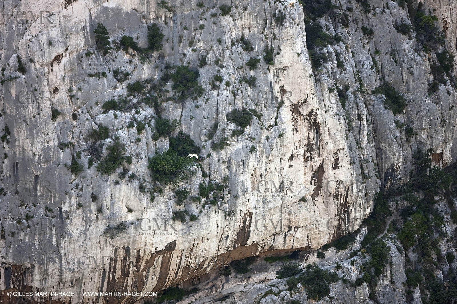 03 05 2009 - Marseille (FRA, 13) - Les Calanques - En Vau